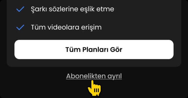 Sayfanın en altında yer alan <b>“Abonelikten Ayrıl”</b> butonuna tıkla.